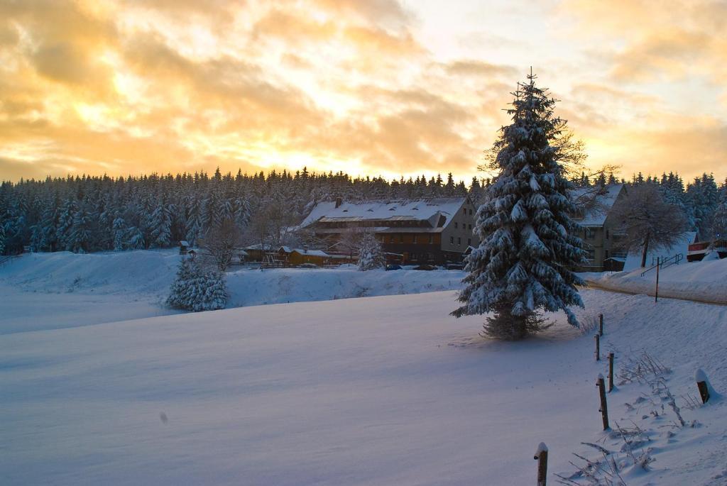Zum Schneekopf Hotel