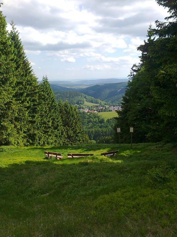 Hotel Zum Schneekopf 3*